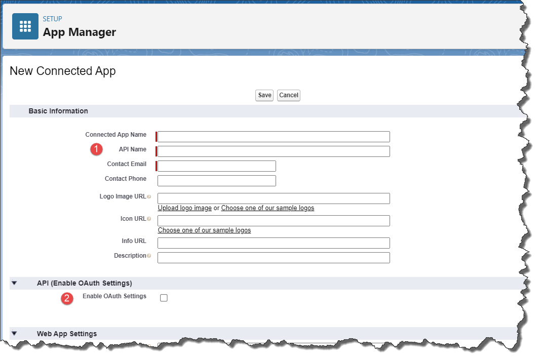 Salesforce App Manager Basic and API